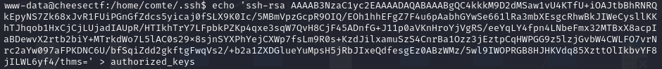image détaillé du ctf