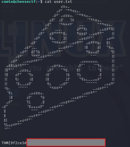 image détaillé du ctf
