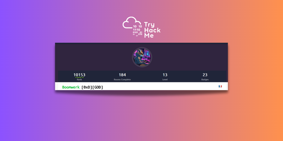 profile tryhackme top 1%